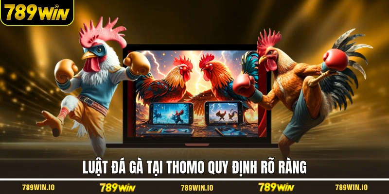 Luật đá gà tại Thomo quy định rõ ràng