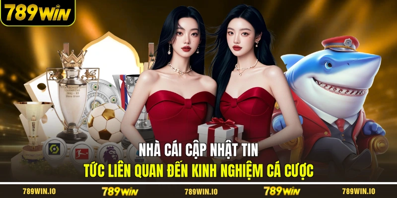Nhà cái cập nhật tin tức liên quan đến kinh nghiệm cá cược