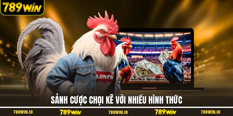 Sảnh cược chọi kê với nhiều hình thức 