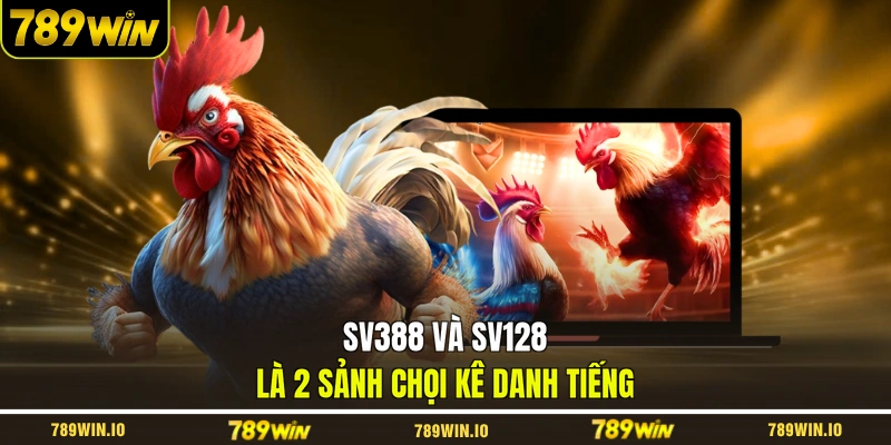 SV388 và SV128 là 2 sảnh chọi kê danh tiếng