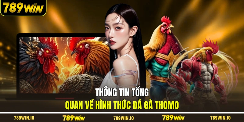 Thông tin tổng quan về hình thức đá gà Thomo 